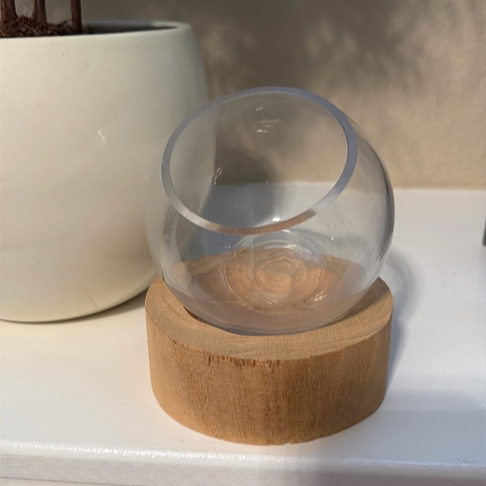 Glass bowl terrarium